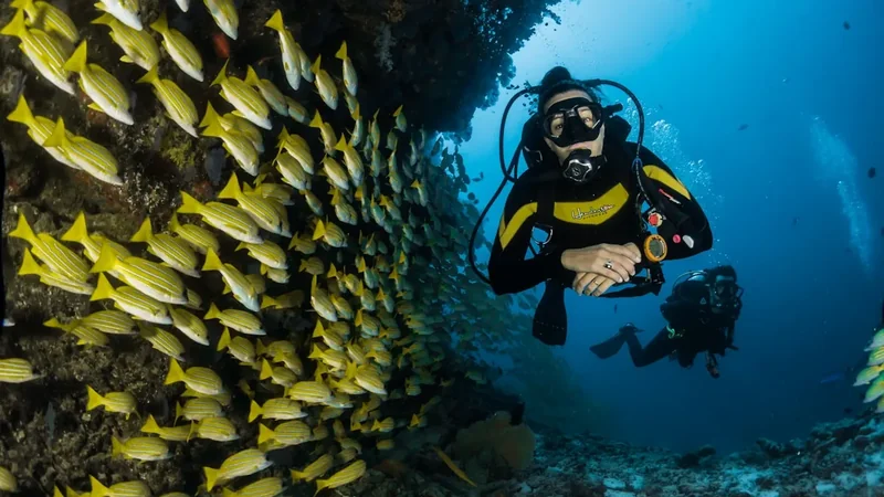 Marine welding video Dubai